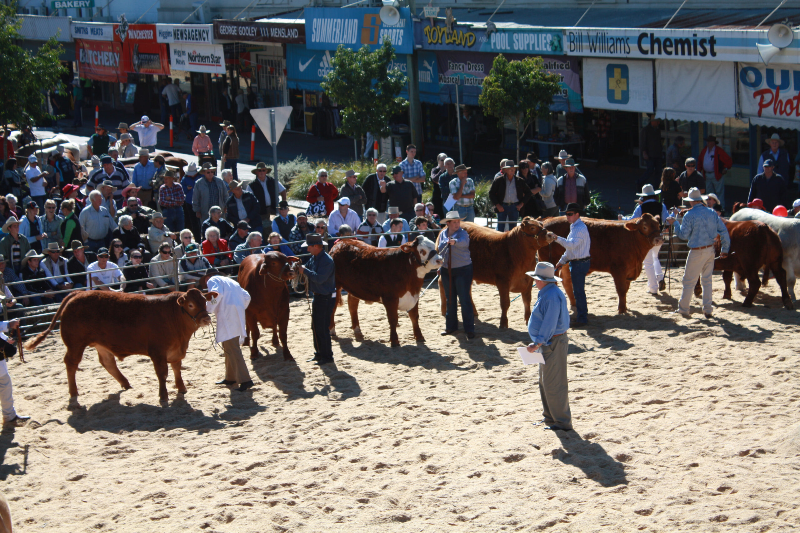 About The Festival Casino Beef Week